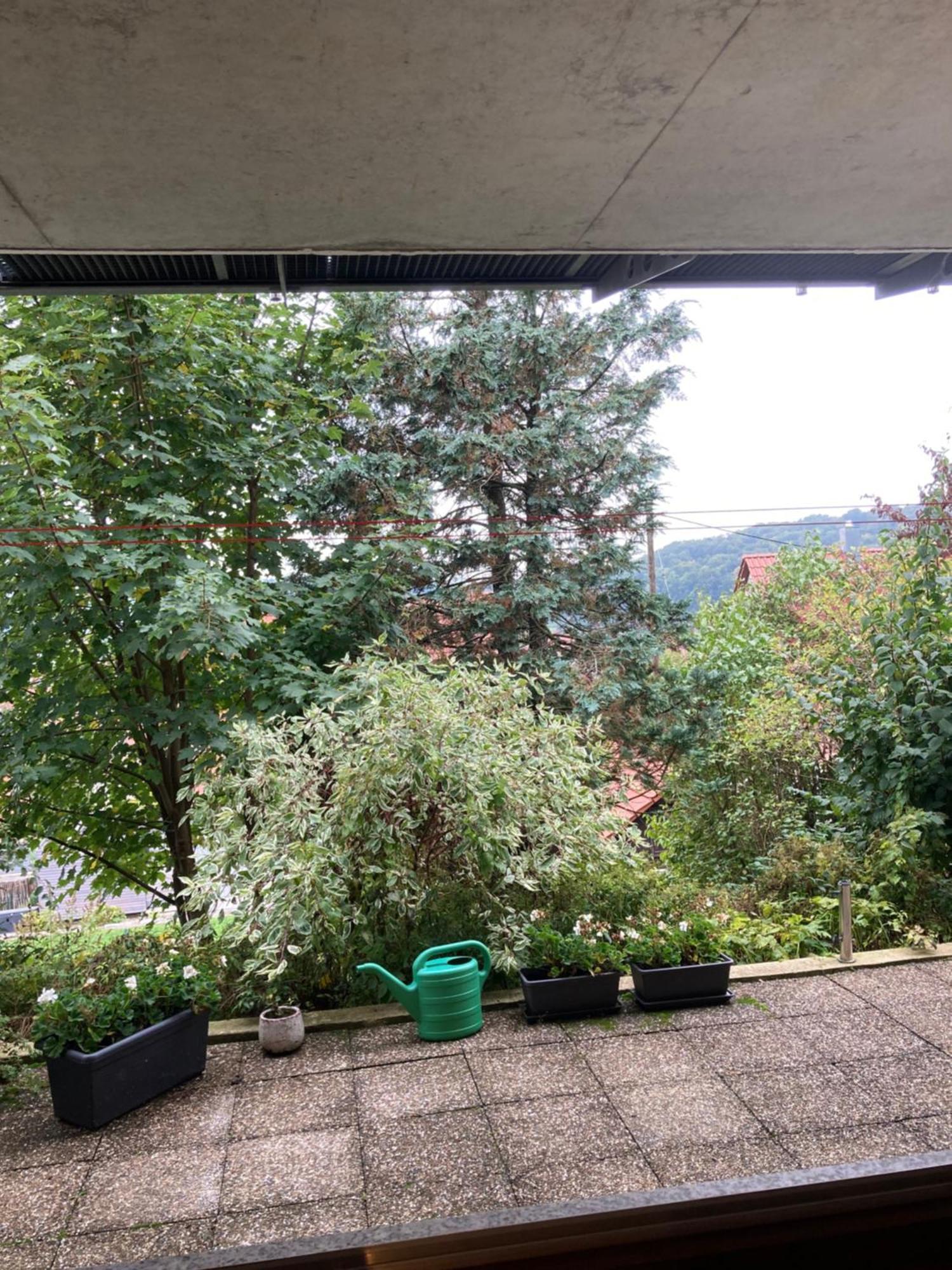 Lichtdurchflutete Ferienwohnung Sankt Johann  Dış mekan fotoğraf